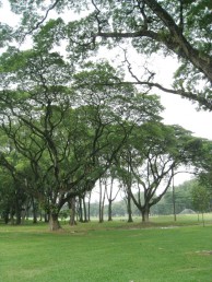 Royal Selangor Golf Club, New Course